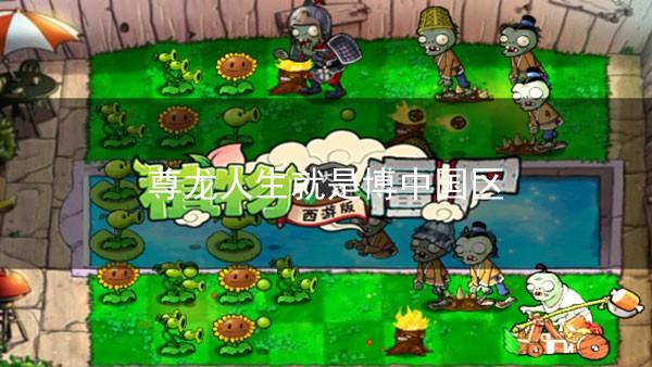 尊龙人生就是博中国区