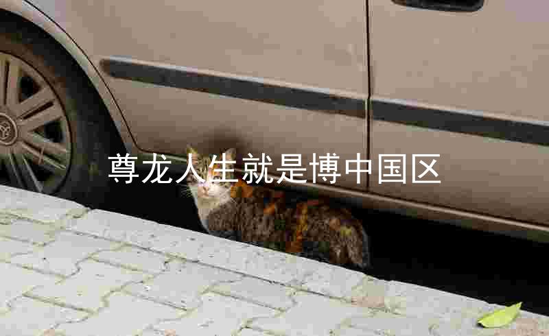 尊龙人生就是博中国区