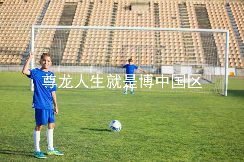 尊龙人生就是博中国区