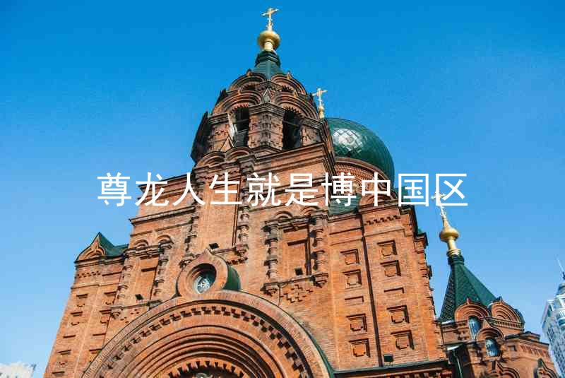 尊龙人生就是博中国区