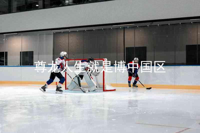 尊龙人生就是博中国区