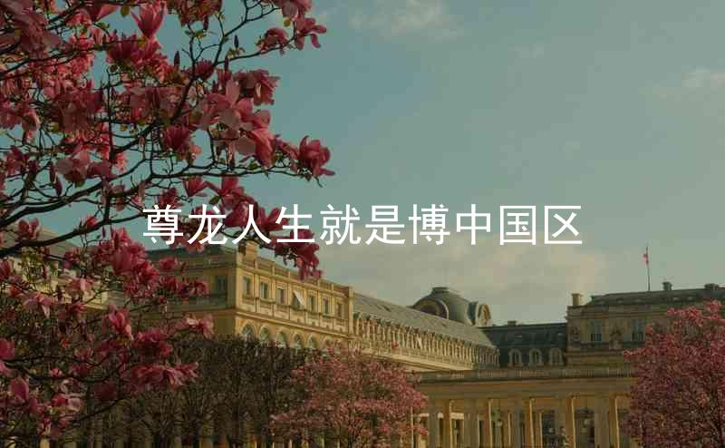 尊龙人生就是博中国区