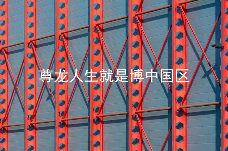 尊龙人生就是博中国区