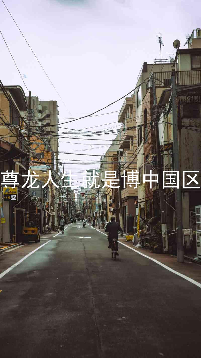 尊龙人生就是博中国区